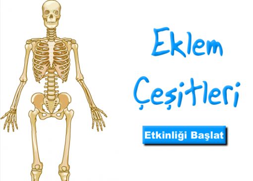 eklem